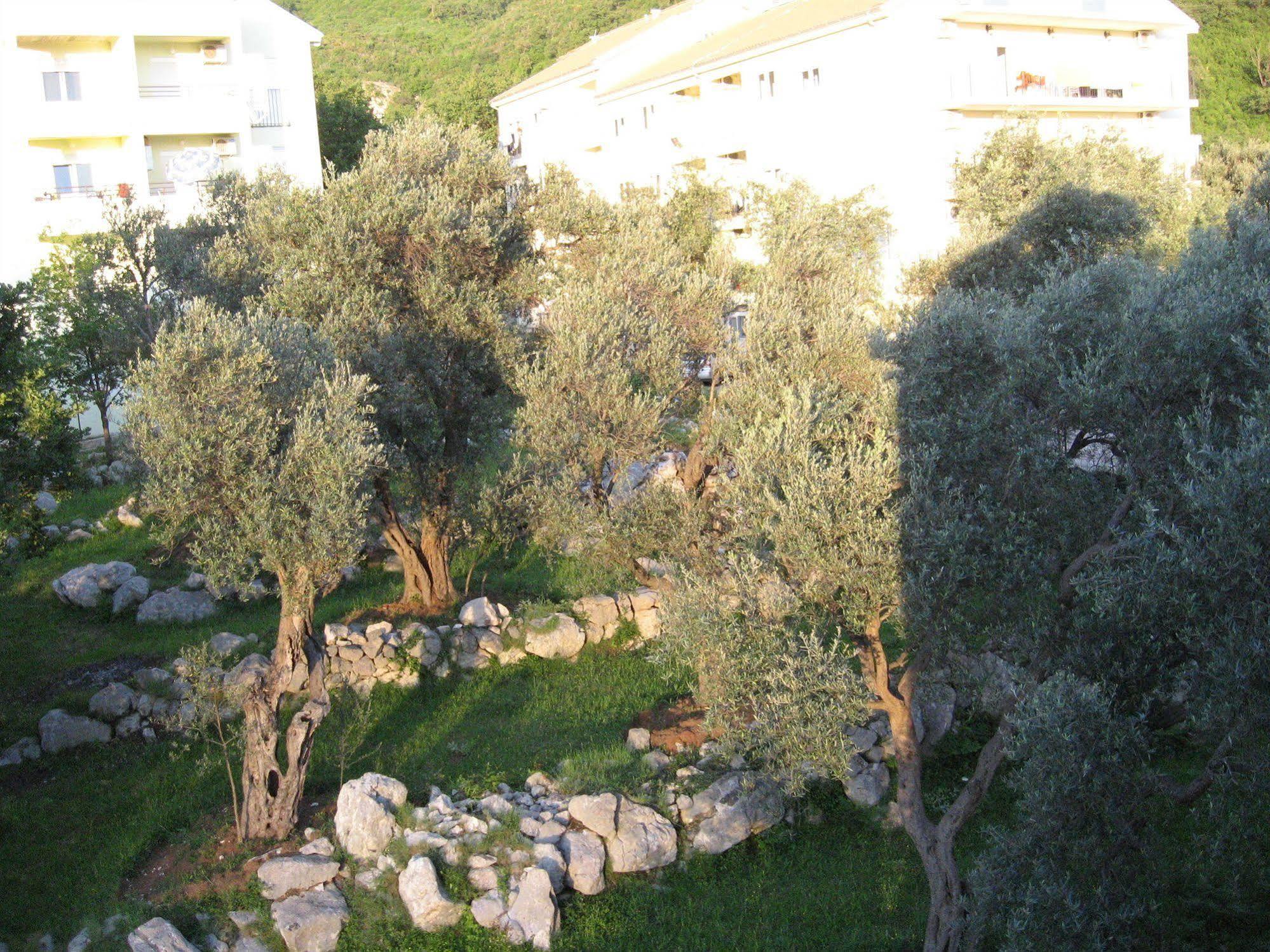 Villa San Marco Budva Dış mekan fotoğraf